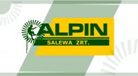 alpin salewa original